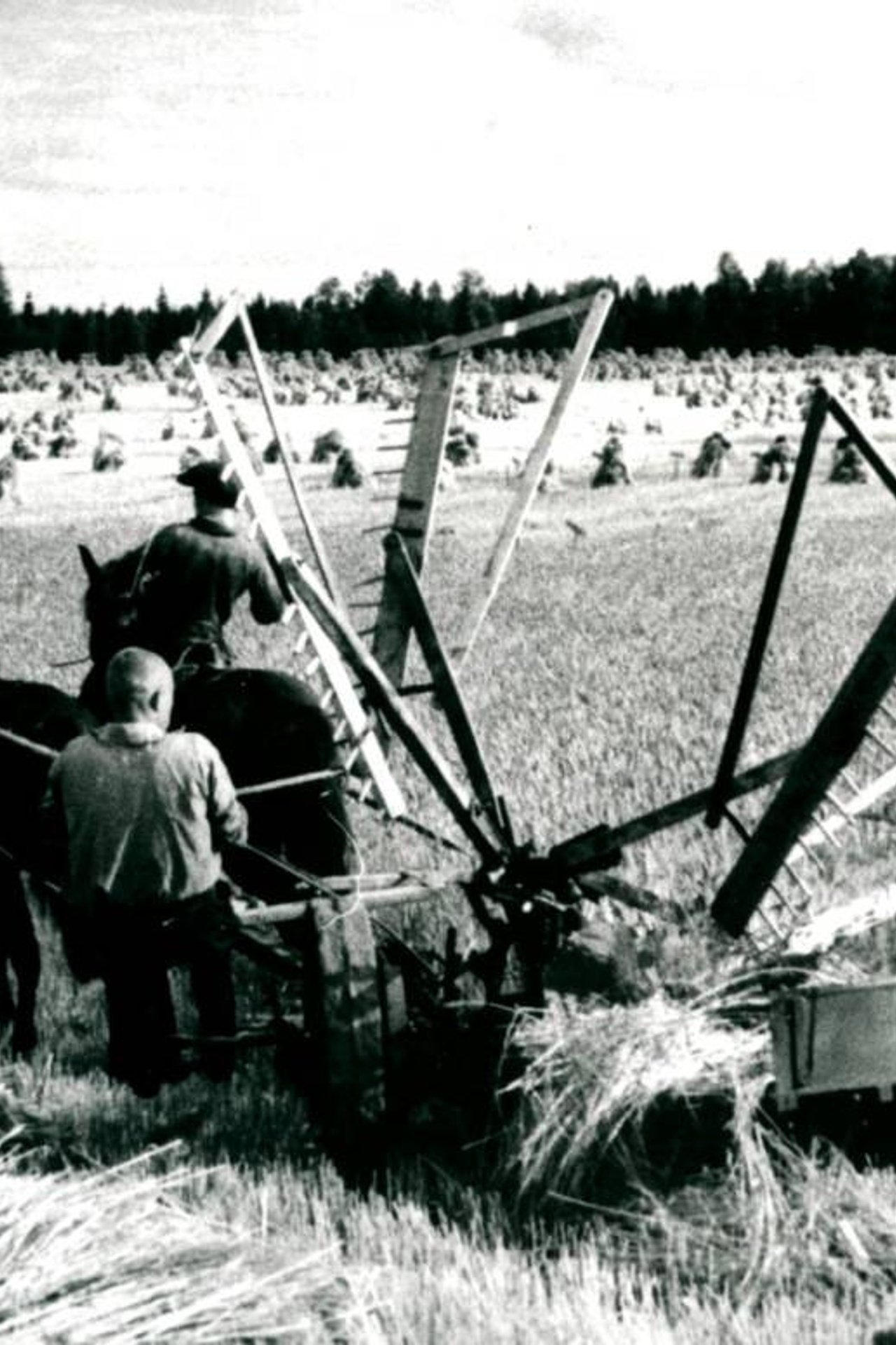 Деревня Васильково. История Назиевского городского поселения