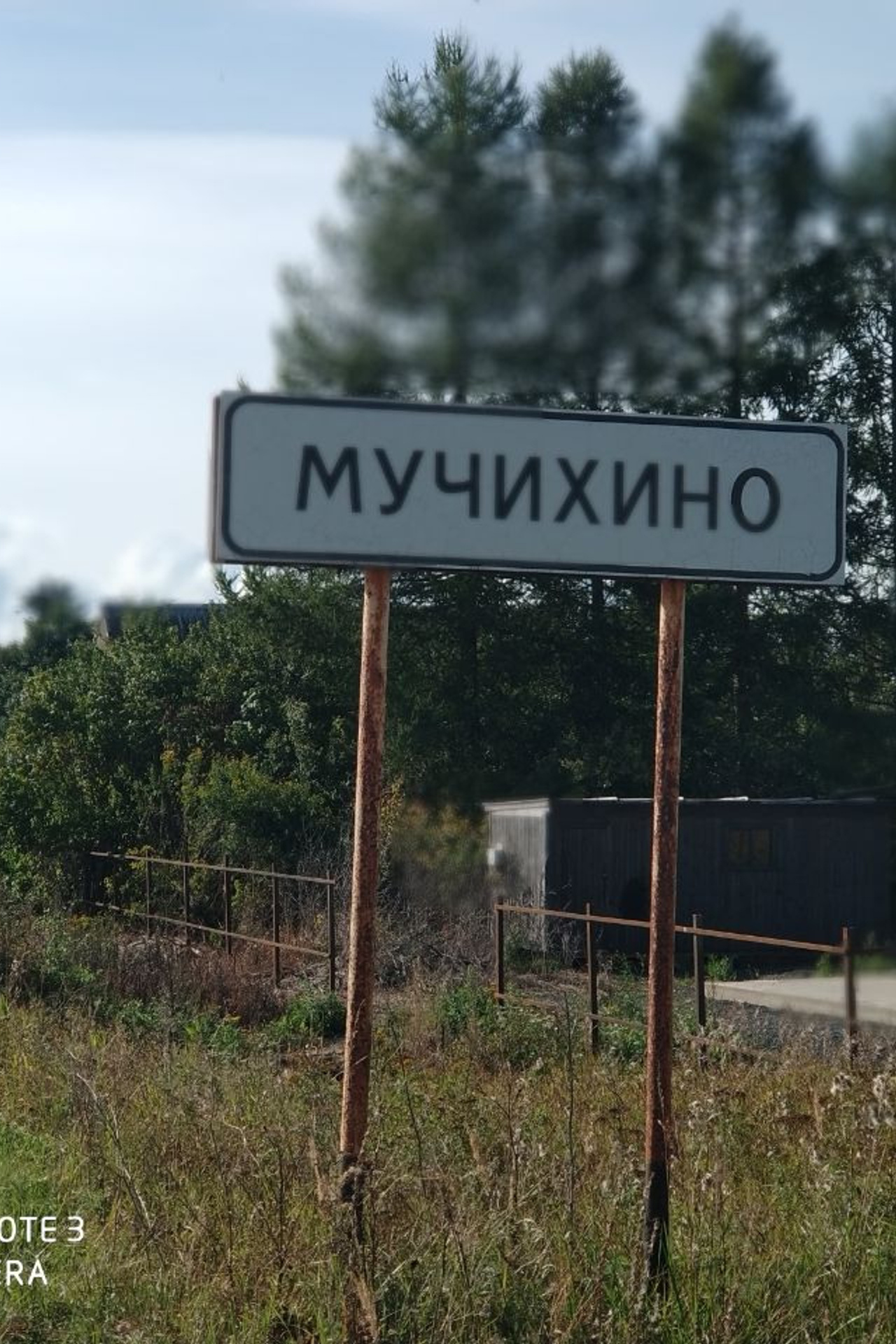 Деревня Мучихино. История Назиевского городского поселения