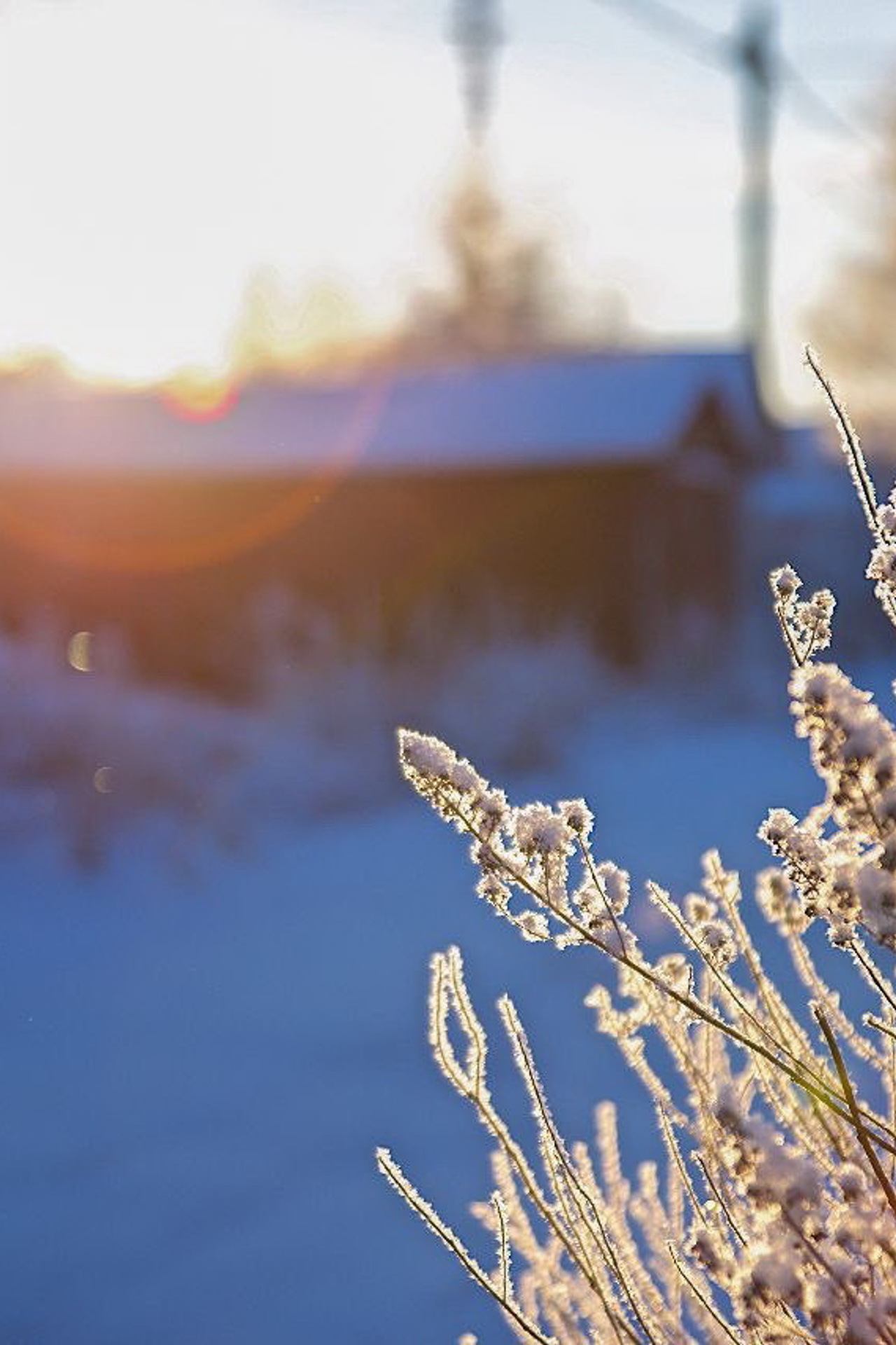 Деревня Желанное. История Назиевского городского поселения