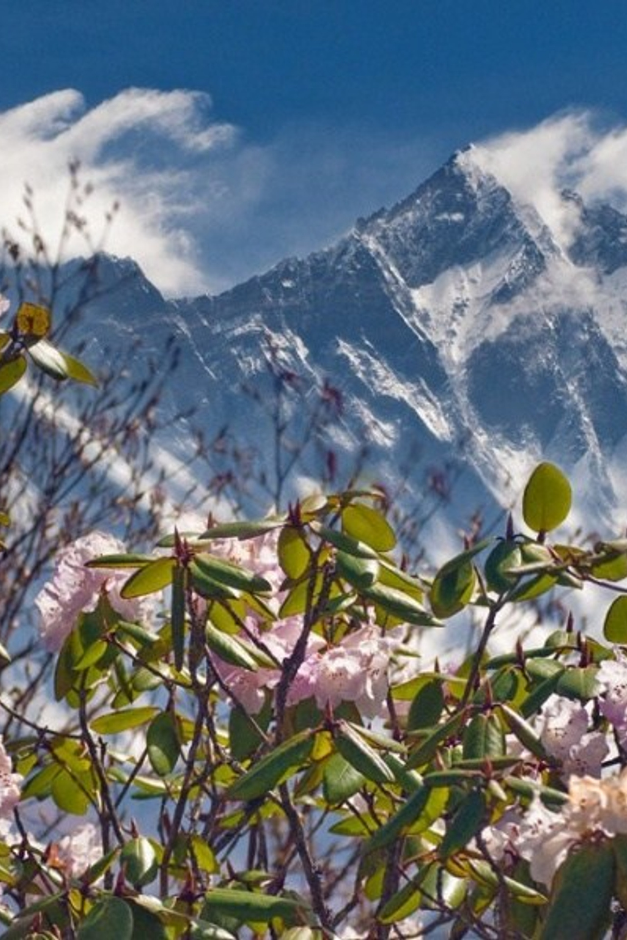 Это Сочи, детка!. Милана Довгаль - семейный фотограф и видеограф  в Адлере и Сочи