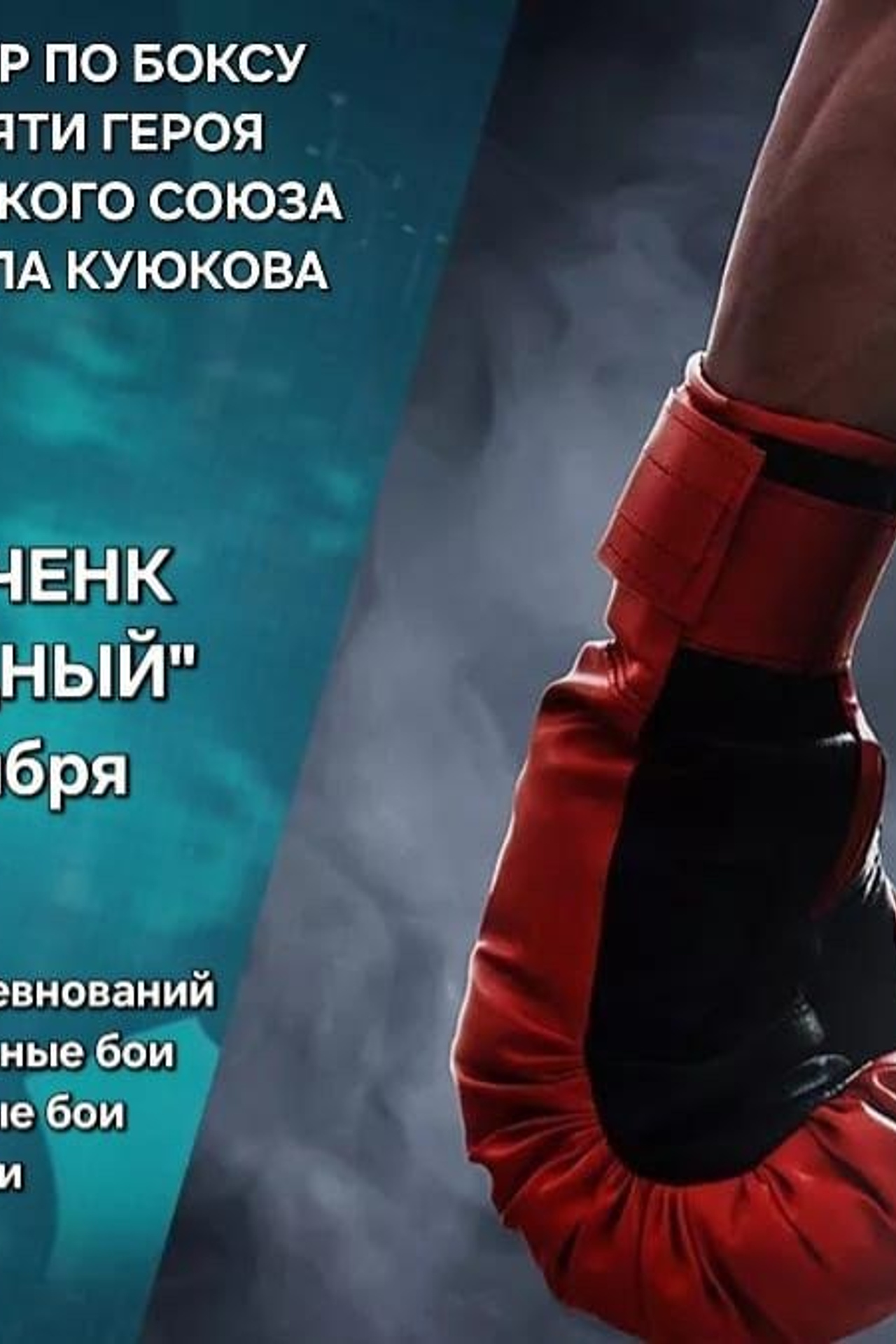 Открытие турнира по боксу памяти героя Советского Союза Михаила Крюкова