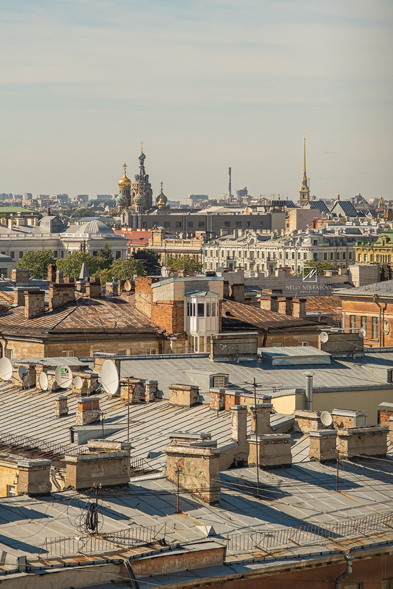 Блог. Фотограф и искусствовед в Туле и Санкт-Петербурге Нелли Некрасова