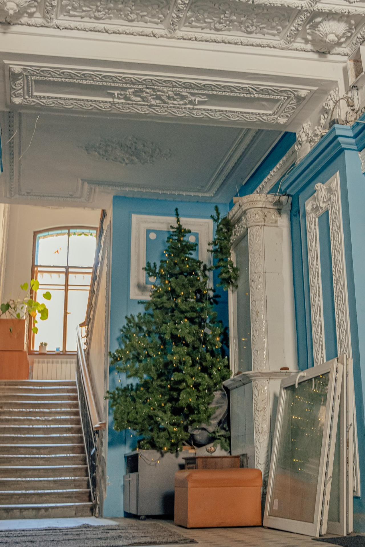 Блог. Фотограф и искусствовед в Туле и Санкт-Петербурге Нелли Некрасова