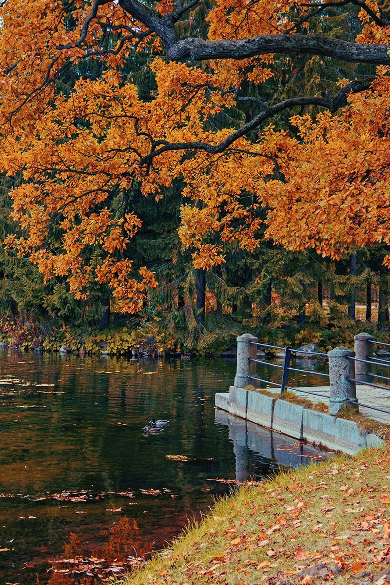 Блог. Фотограф и искусствовед в Туле и Санкт-Петербурге Нелли Некрасова