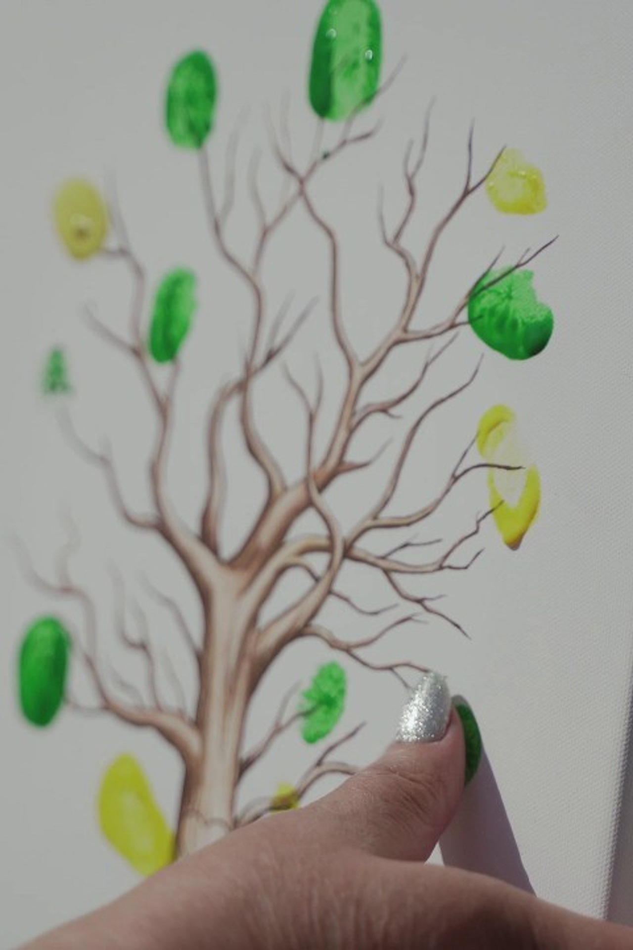 Ваши отзывы. Видеограф Татьяна Веребчану