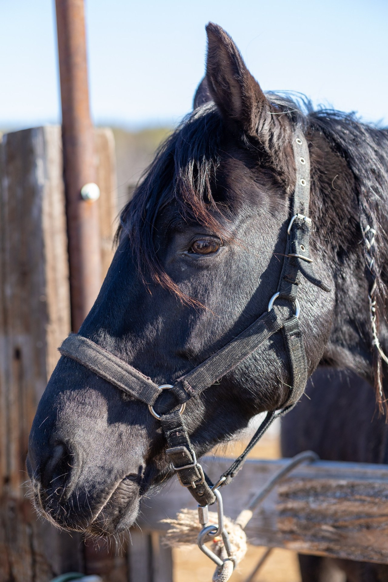 Отзывы. Фотограф Яна Матвеева в Ижевске
