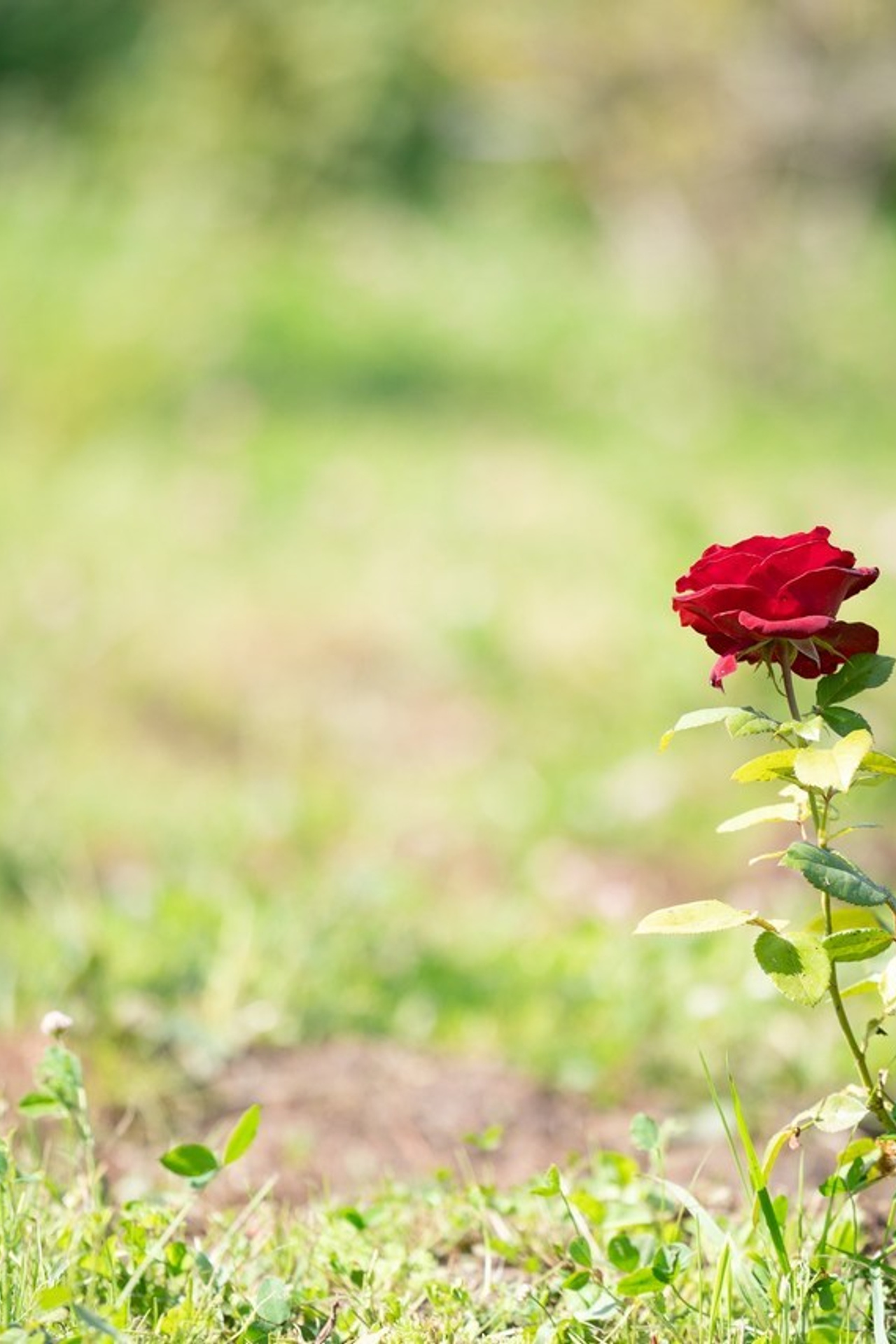 Отзывы. Фотограф Яна Матвеева в Ижевске
