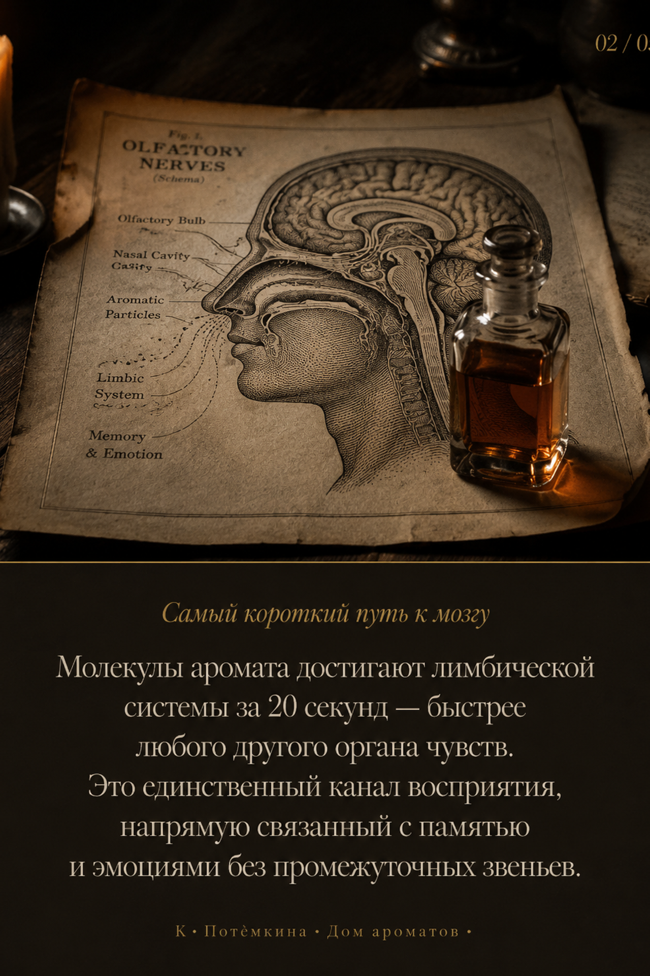 Контент для соцсетей. AI-креатор Ксения — контент для соцсетей, рекламные видео, визуалы с нейросетями