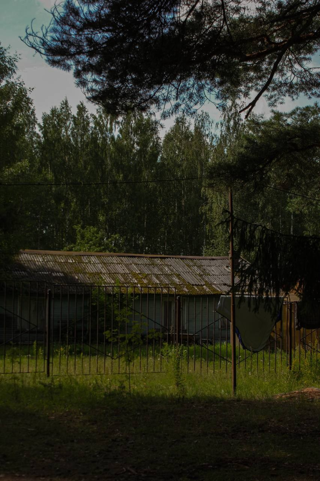 Летняя школа