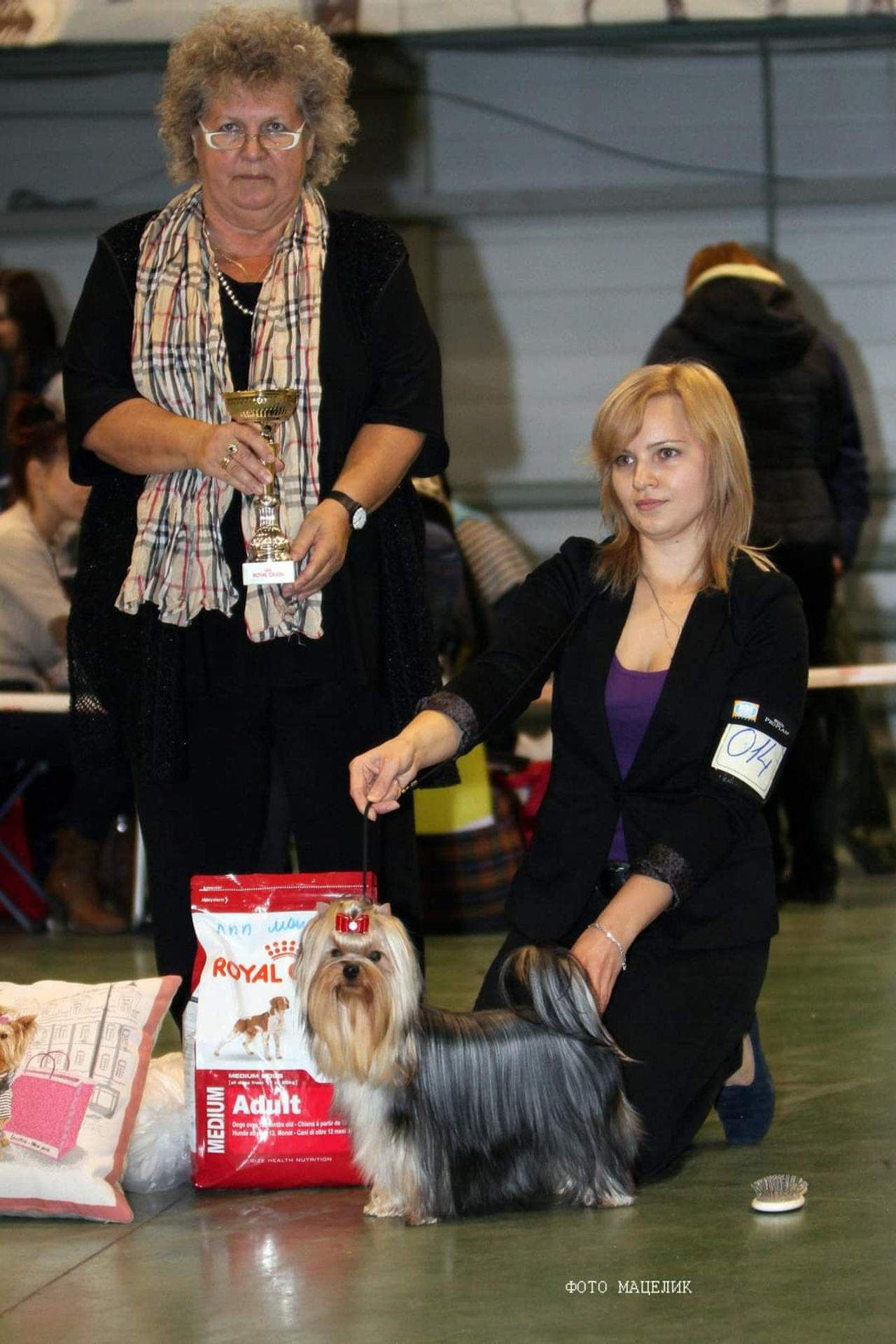 Йоркширский терьер. Мемориал. Питомник Воле'Т Шоу Vole'T Shou. Йоркширский терьер — питомник йоркширских терьеров Vole'T Shou