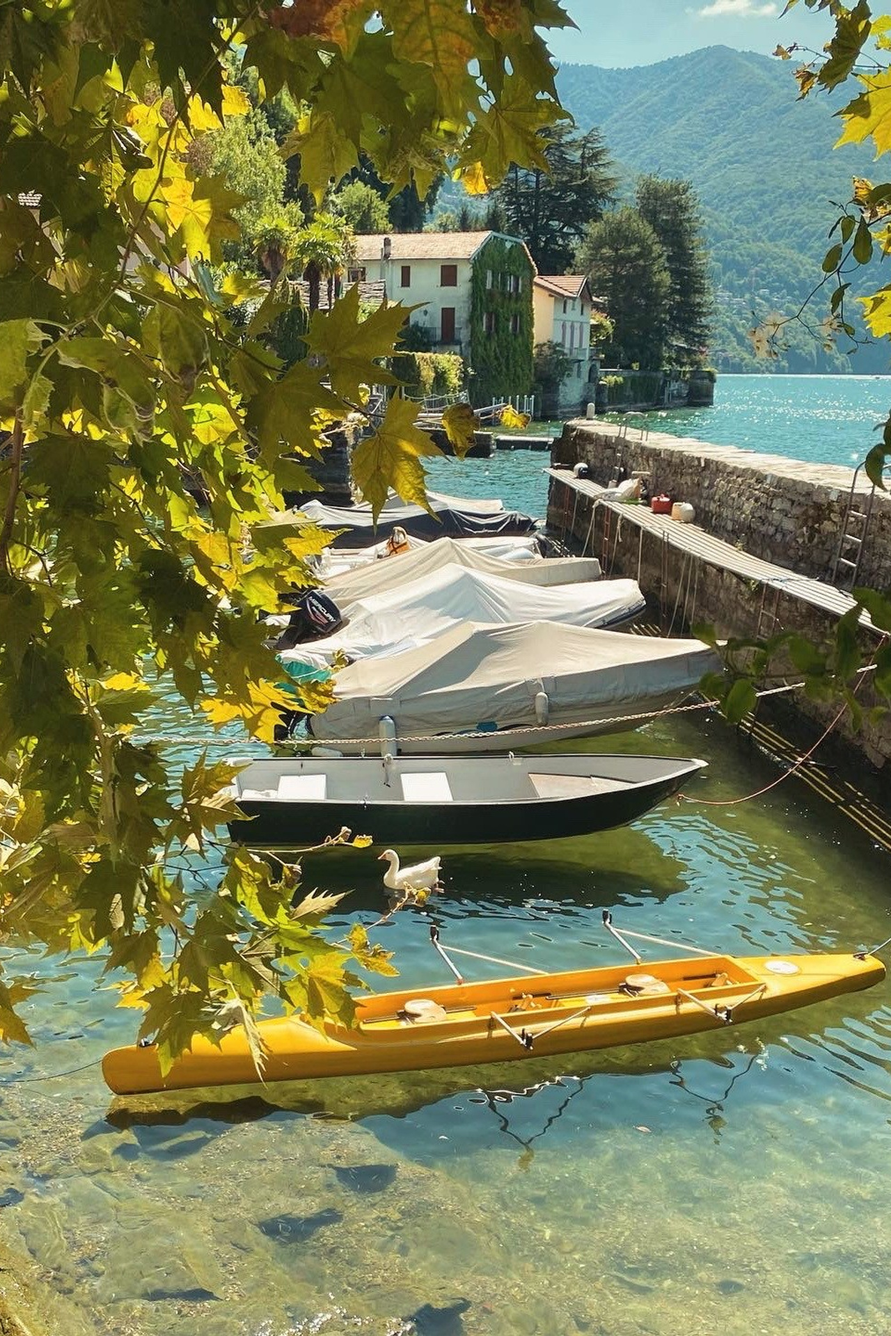 Como