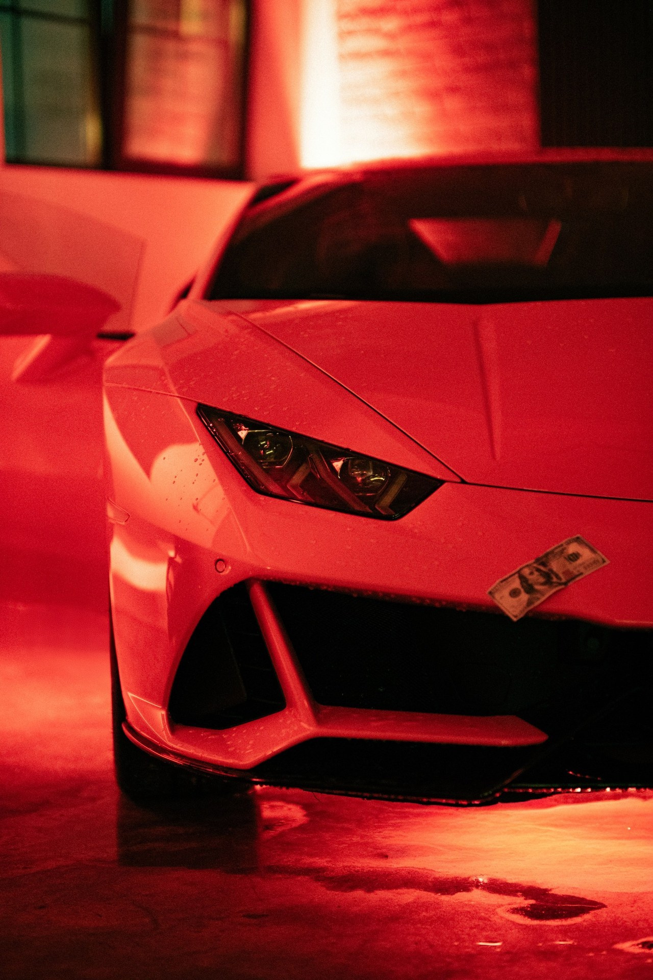 Отзывы. Коммерческий, репортажный фотограф в Москве Лейла Мару