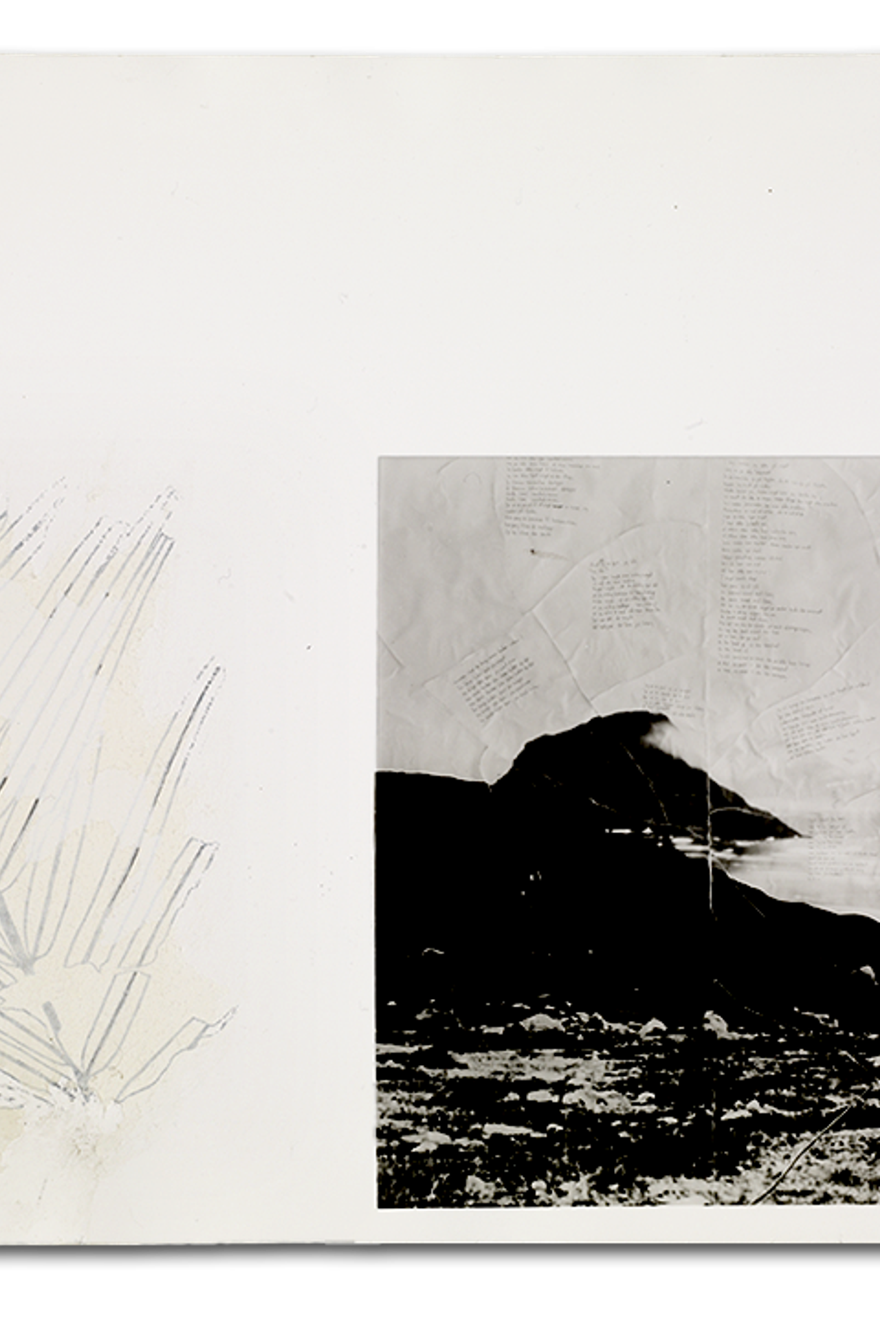 Фотографии Дэниела Рампулла (Daniel Rampulla). Private image