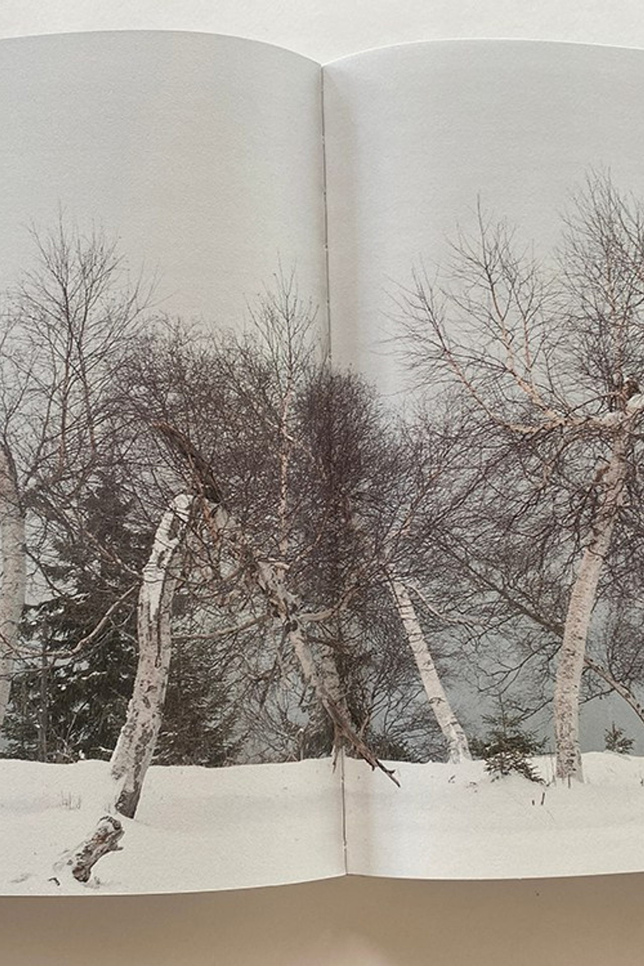 Блог. Private image