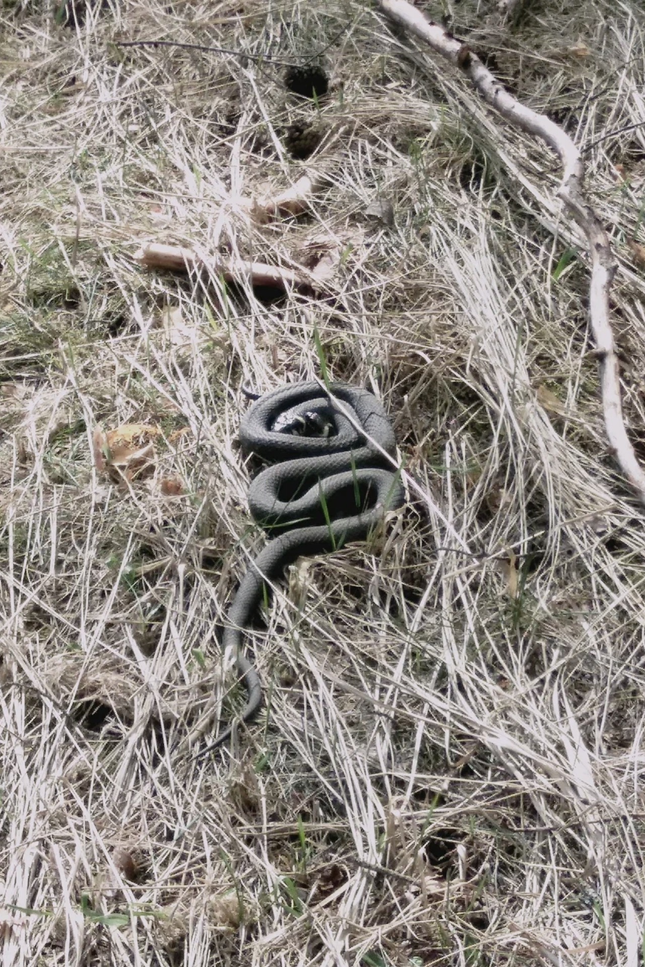 Работы студентов. Private image