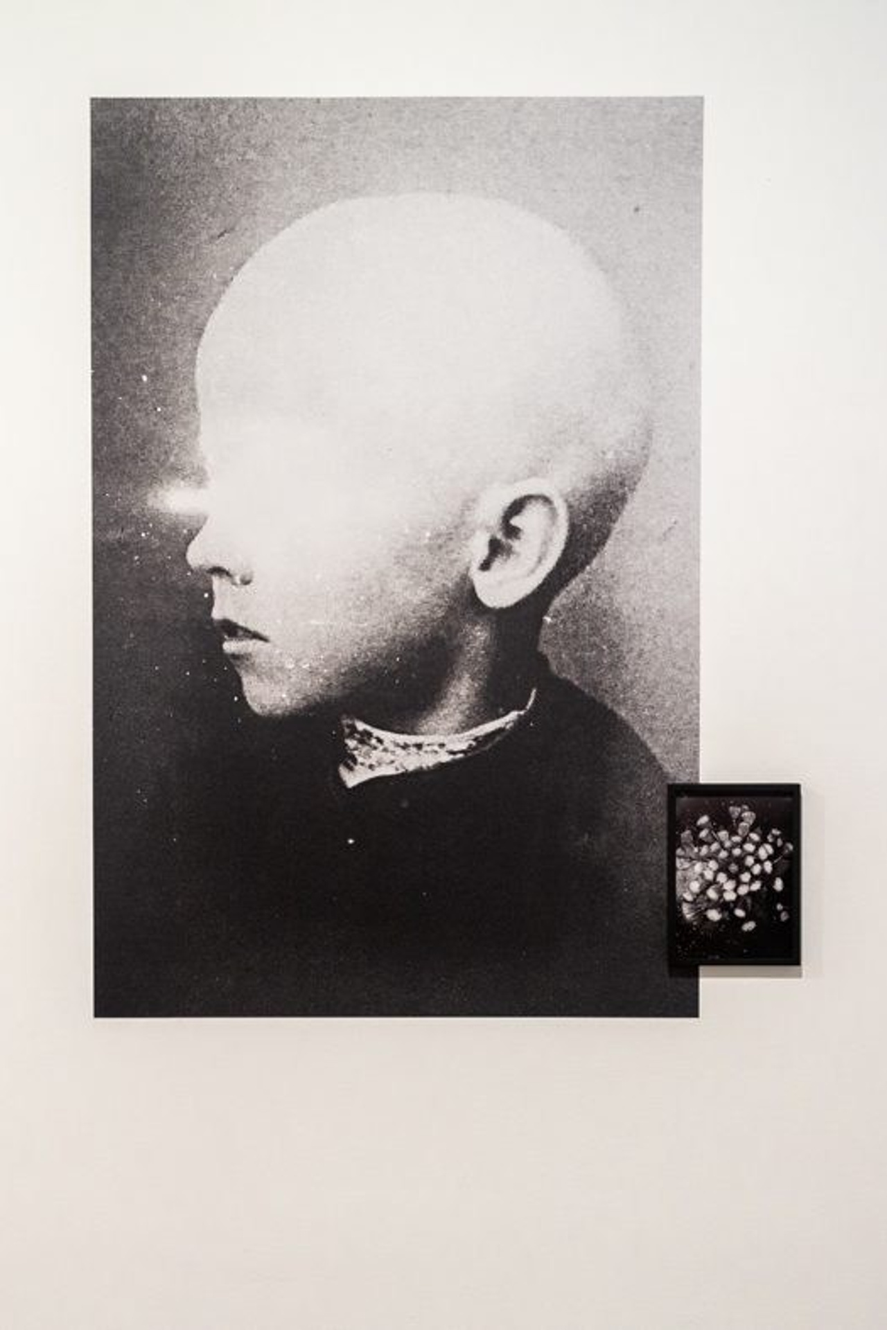 Фотографии Дэниела Рампулла (Daniel Rampulla). Private image