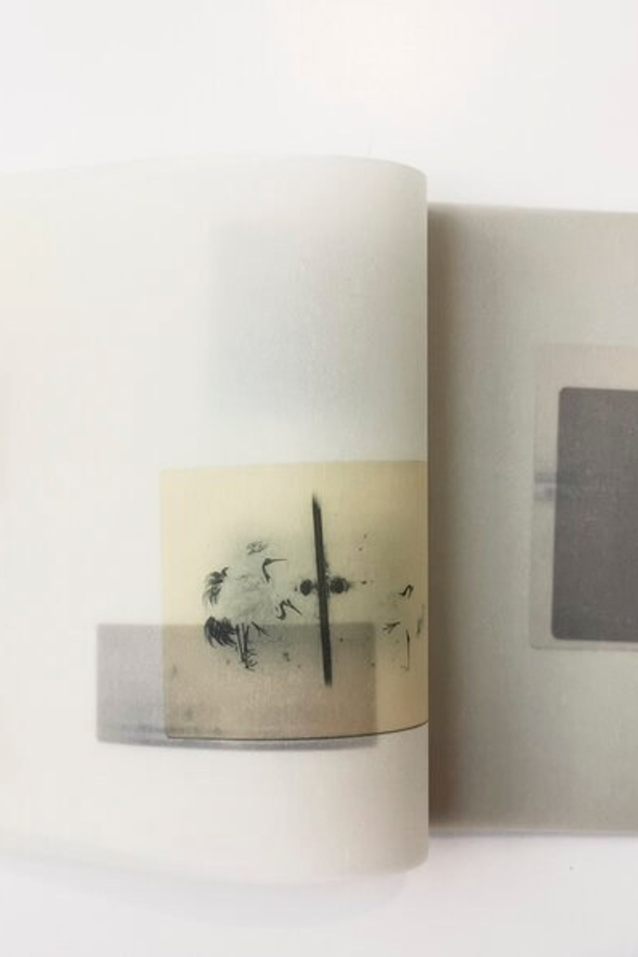 Блог. Private image