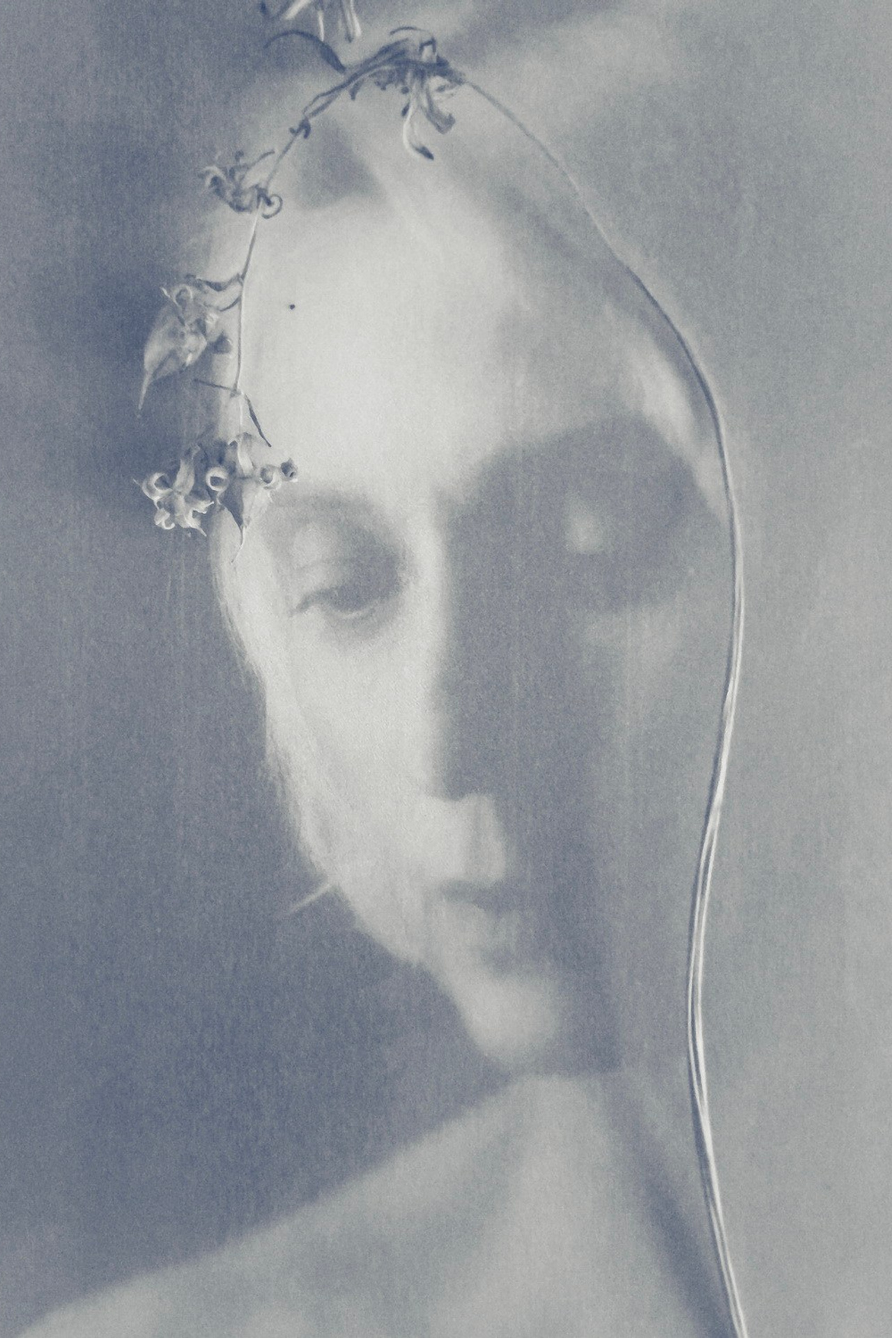 Работы студентов. Private image