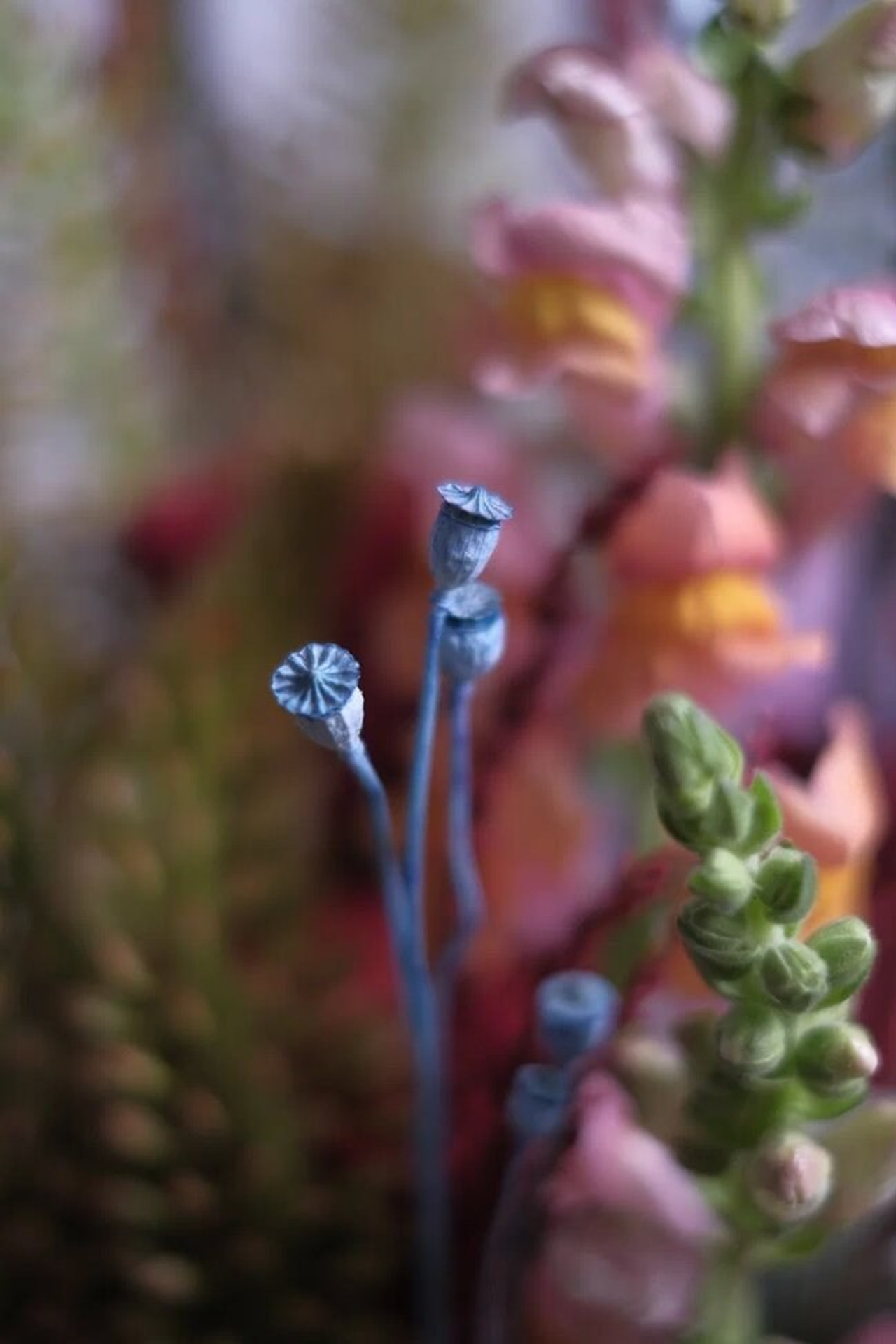 Фото для журнала по профессиональной флористике 2025