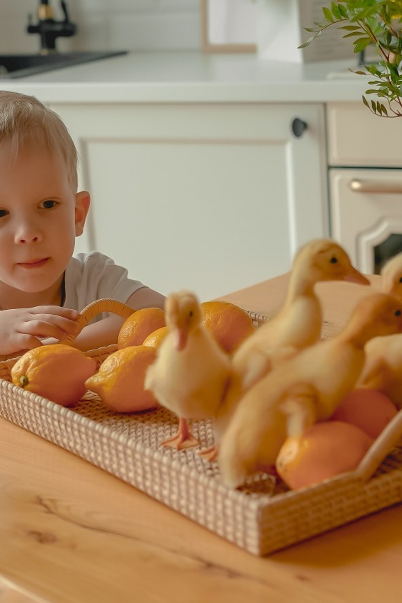 Отзывы. Фотограф новорожденных, беременности и семейных фотосессий в Томске