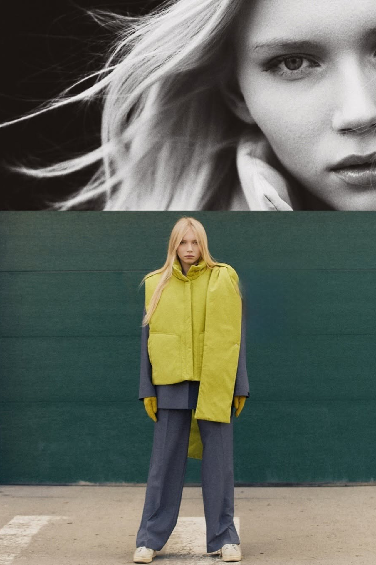 BOOK. MONSTERA MODELS