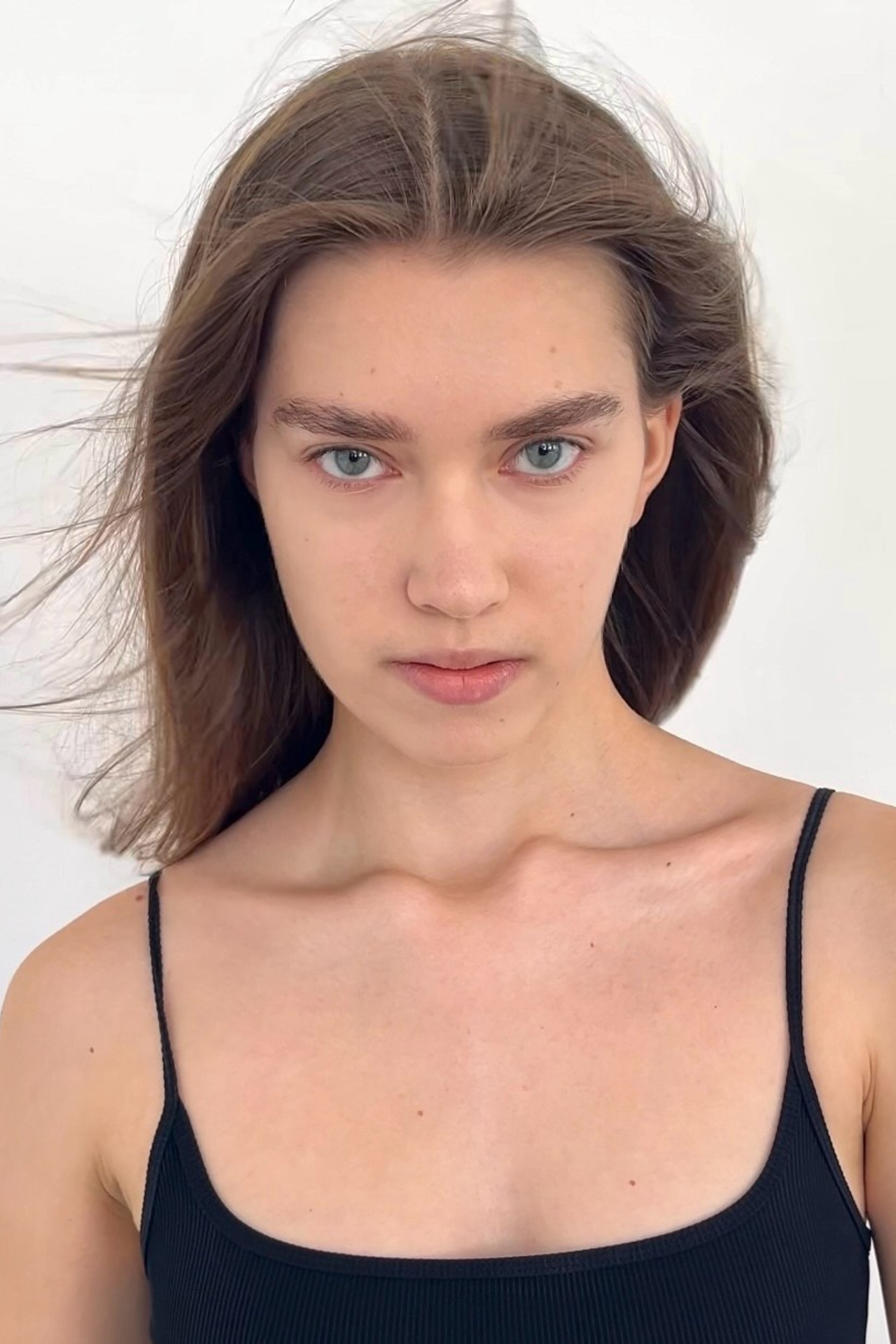SNAPS. MONSTERA MODELS