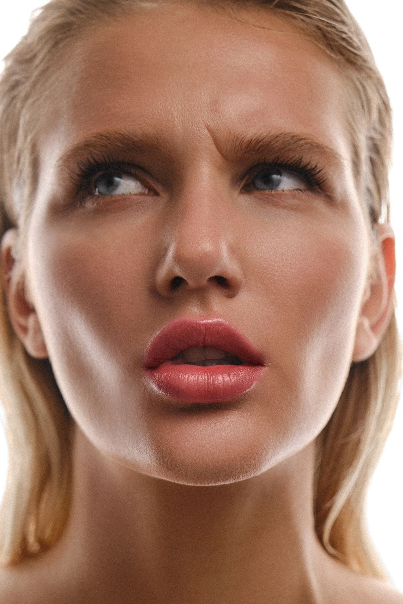 BOOK. MONSTERA MODELS