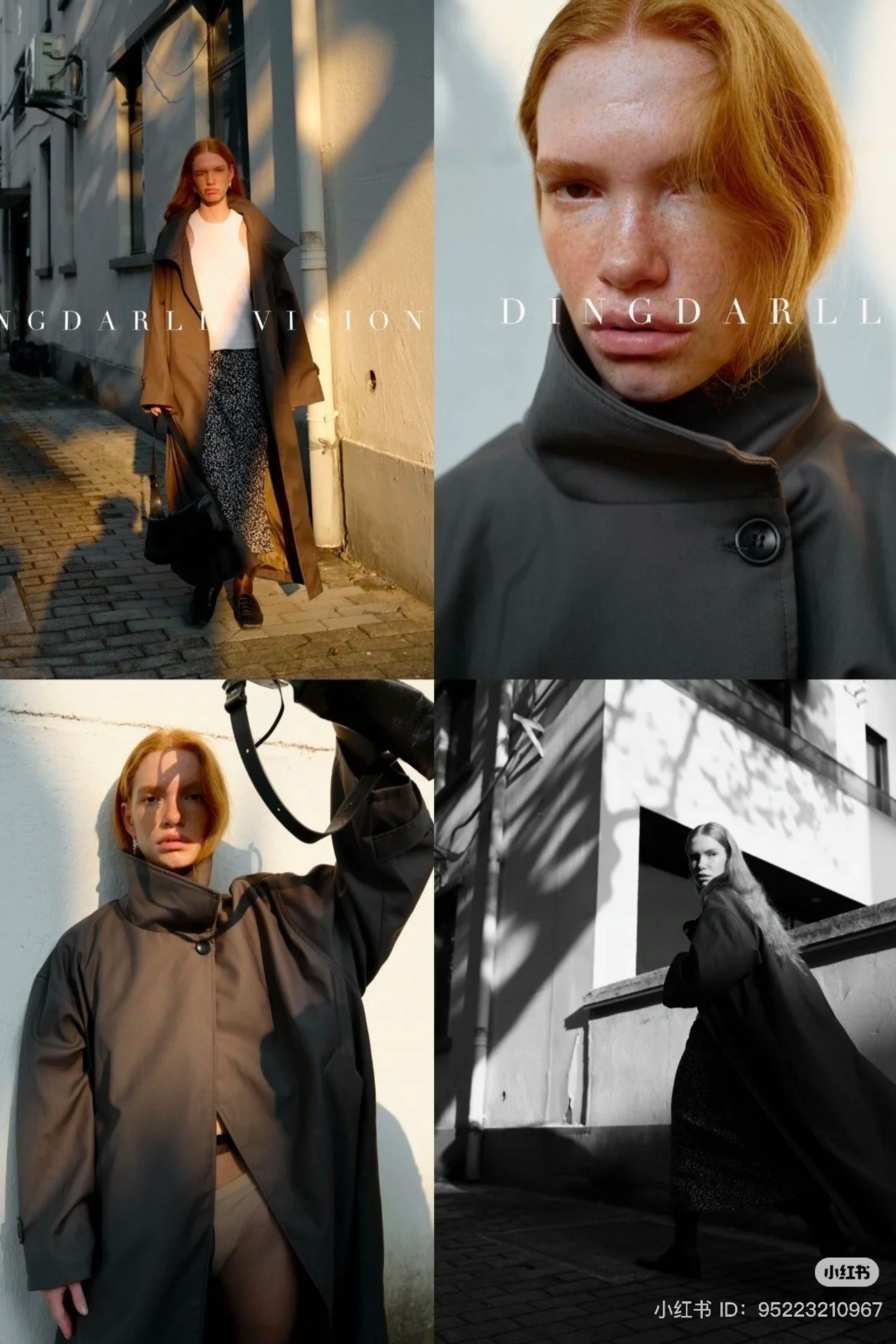 BOOK. MONSTERA MODELS