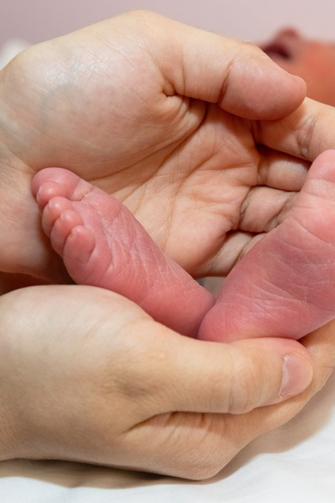 Отзывы. Семейный и детский фотограф в Ногинске