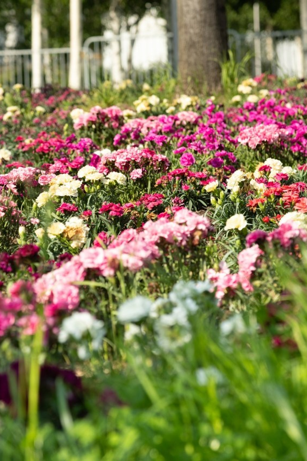 Отзывы. Семейный и детский фотограф в Ногинске