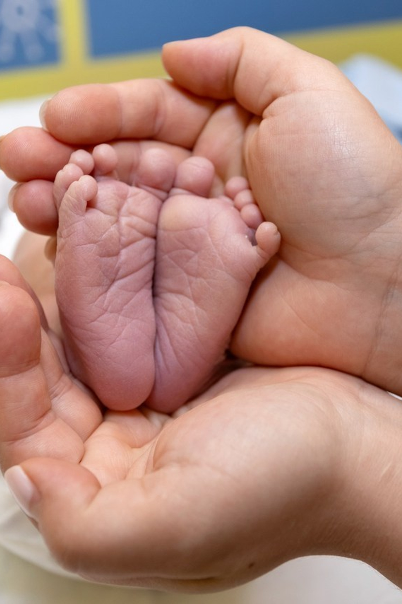 Отзывы. Семейный и детский фотограф в Ногинске