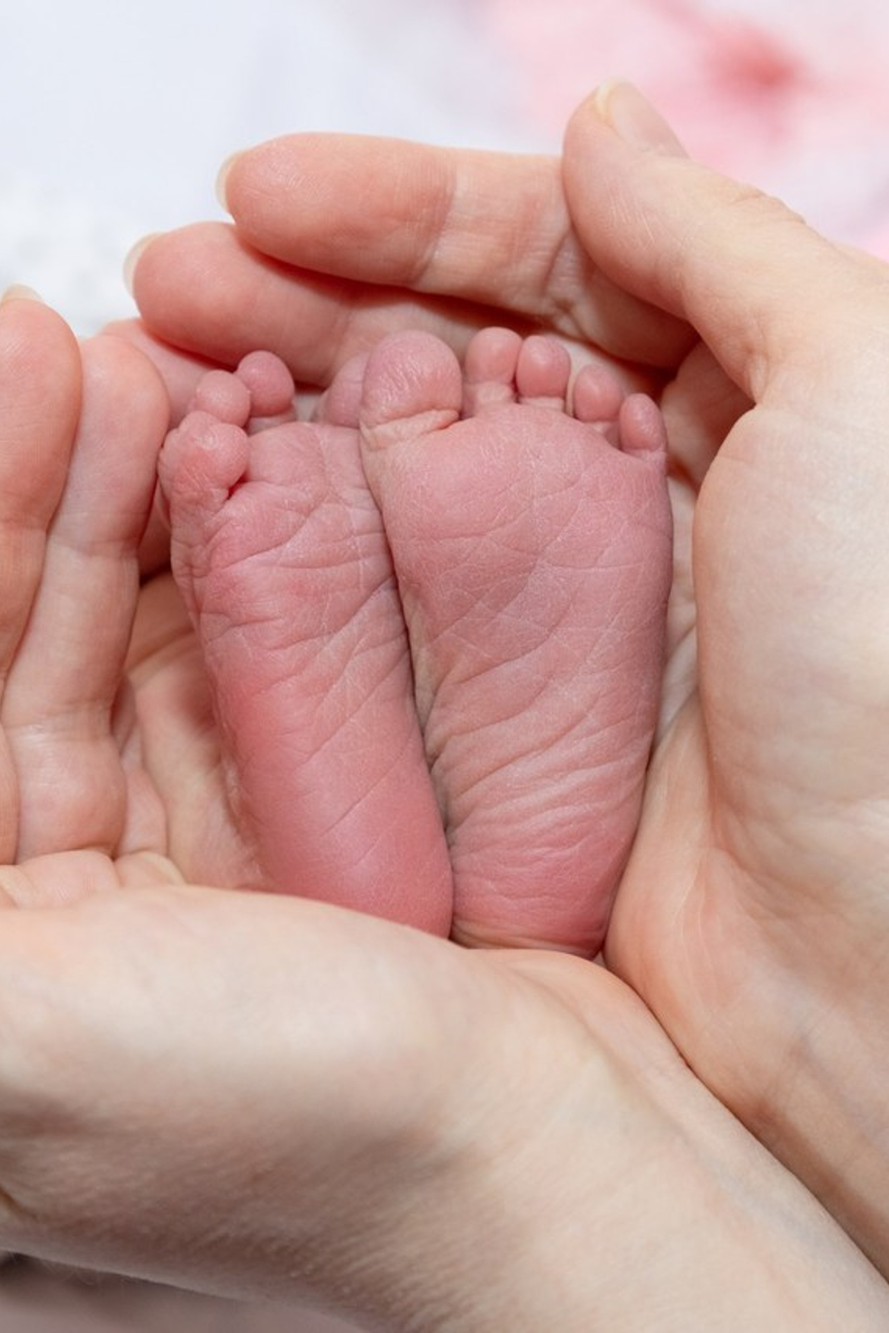 Отзывы. Семейный и детский фотограф в Ногинске