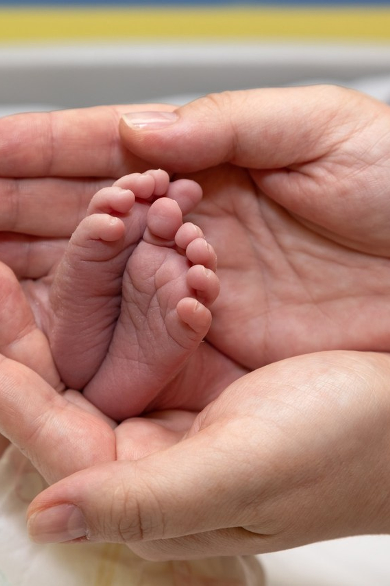 Отзывы. Семейный и детский фотограф в Ногинске