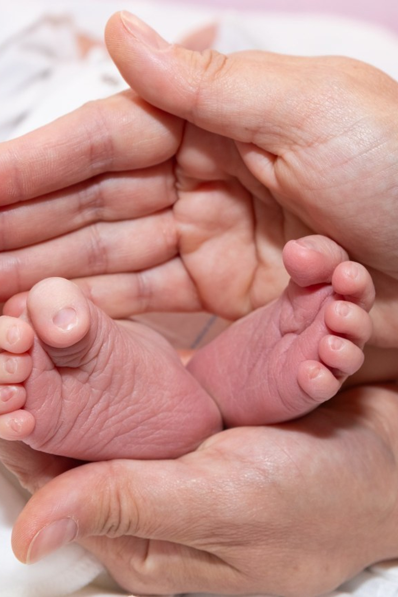 Отзывы. Семейный и детский фотограф в Ногинске