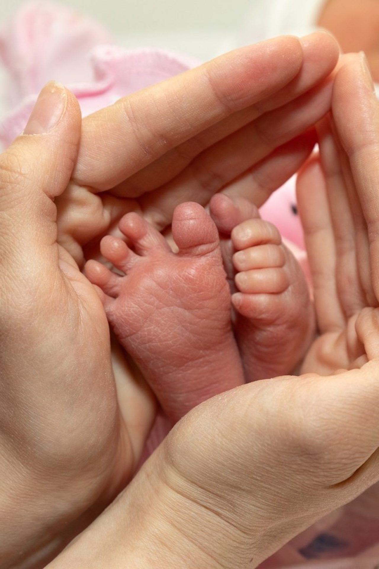 Отзывы. Семейный и детский фотограф в Ногинске