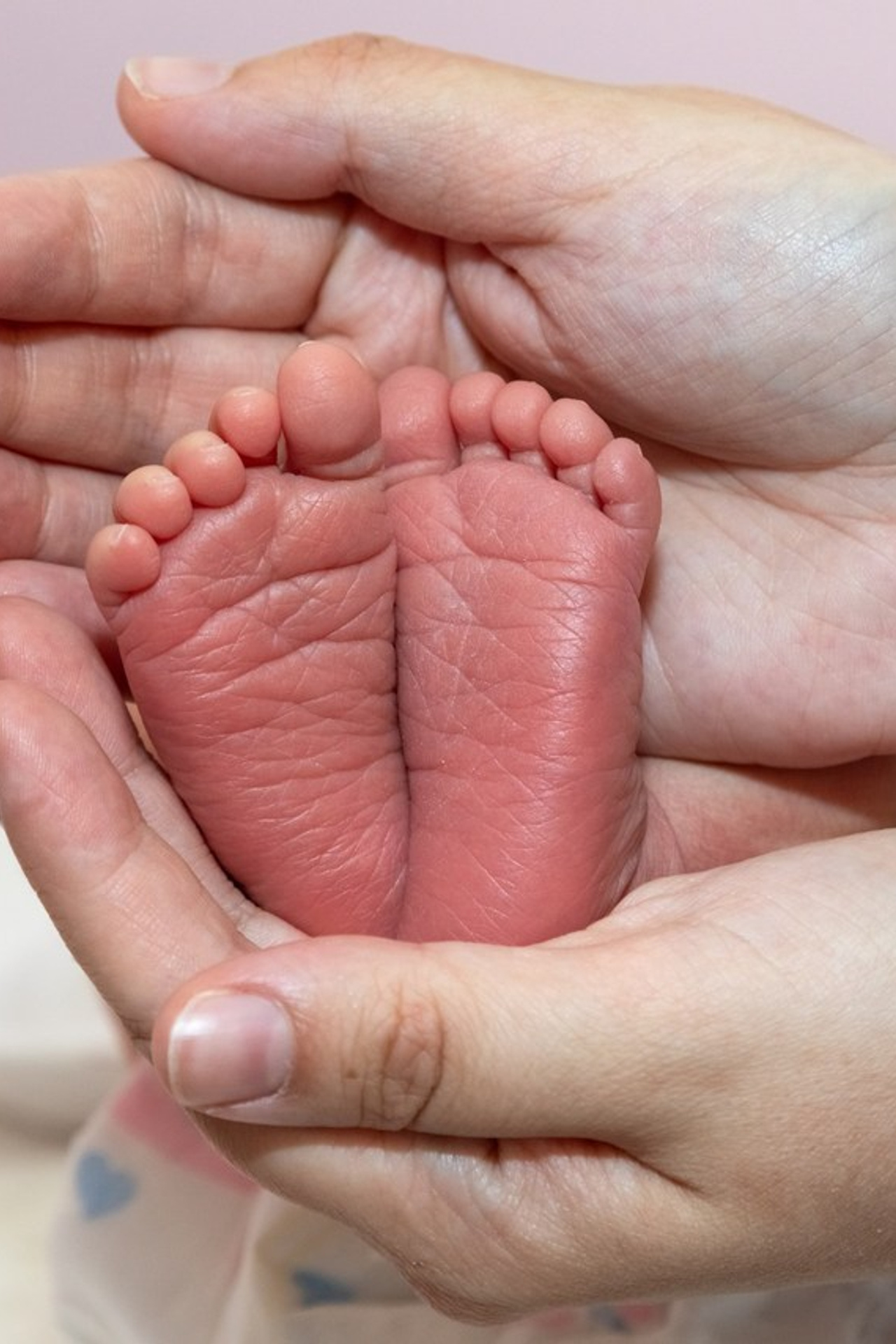 Отзывы. Семейный и детский фотограф в Ногинске