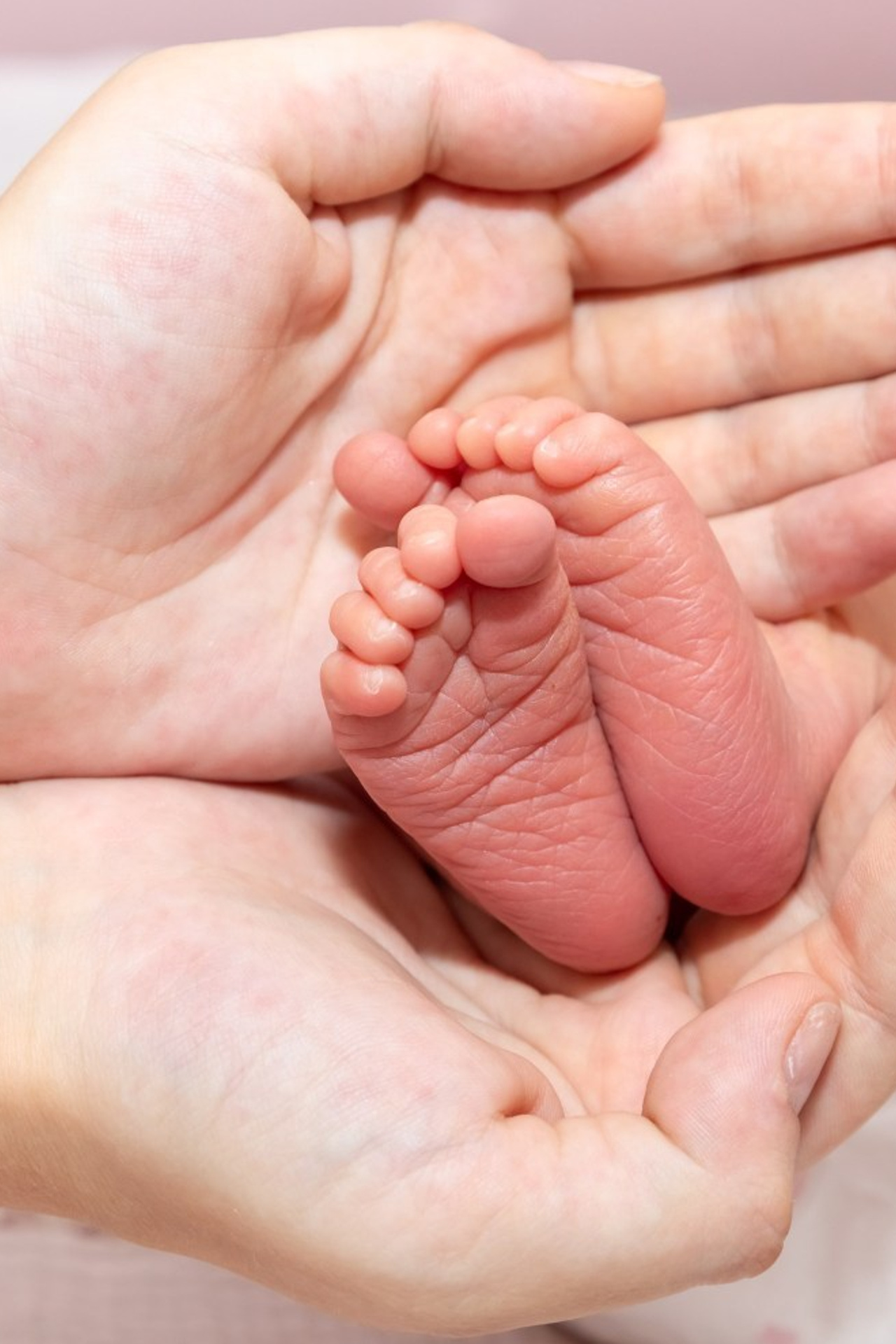 Отзывы. Семейный и детский фотограф в Ногинске