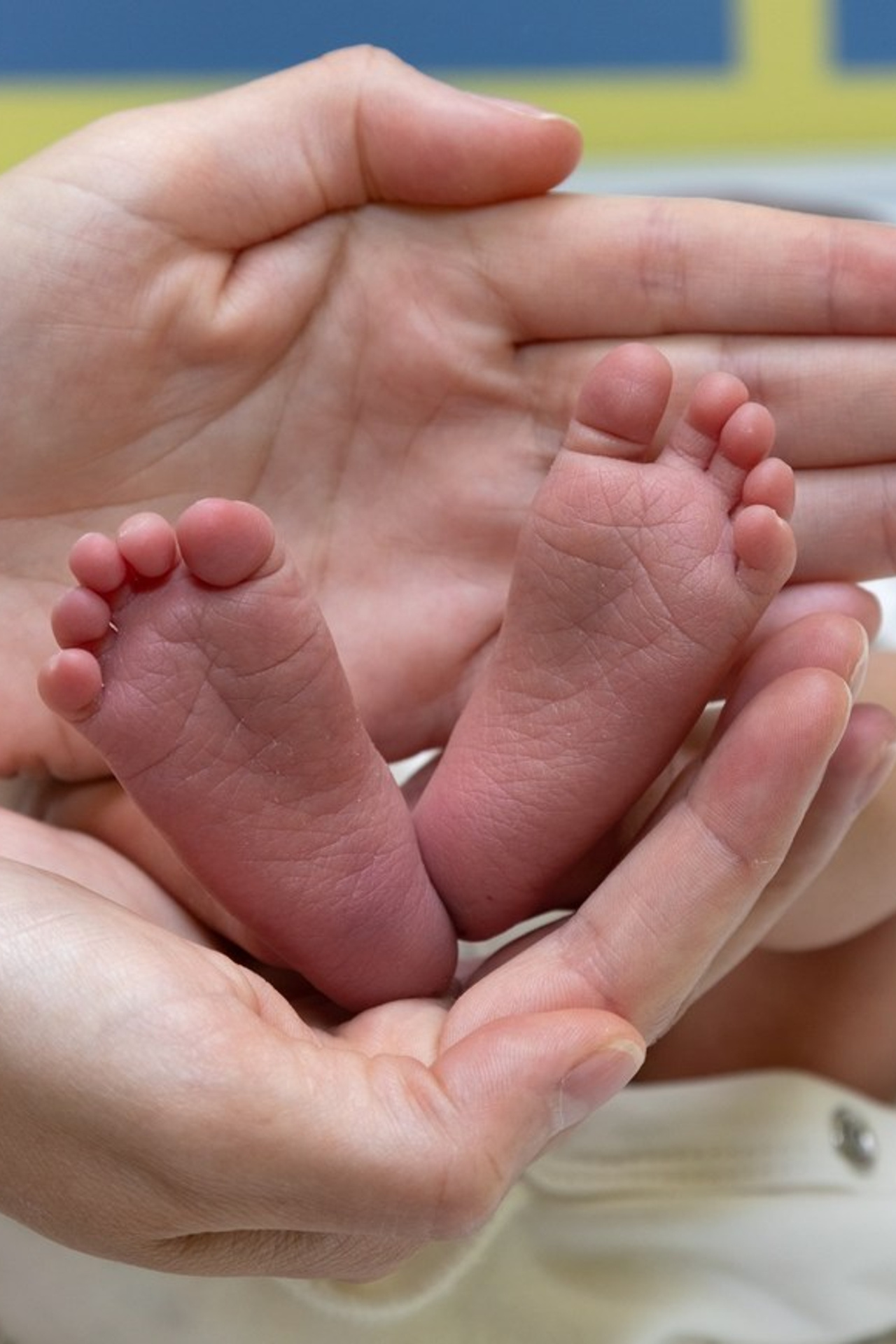 Отзывы. Семейный и детский фотограф в Ногинске