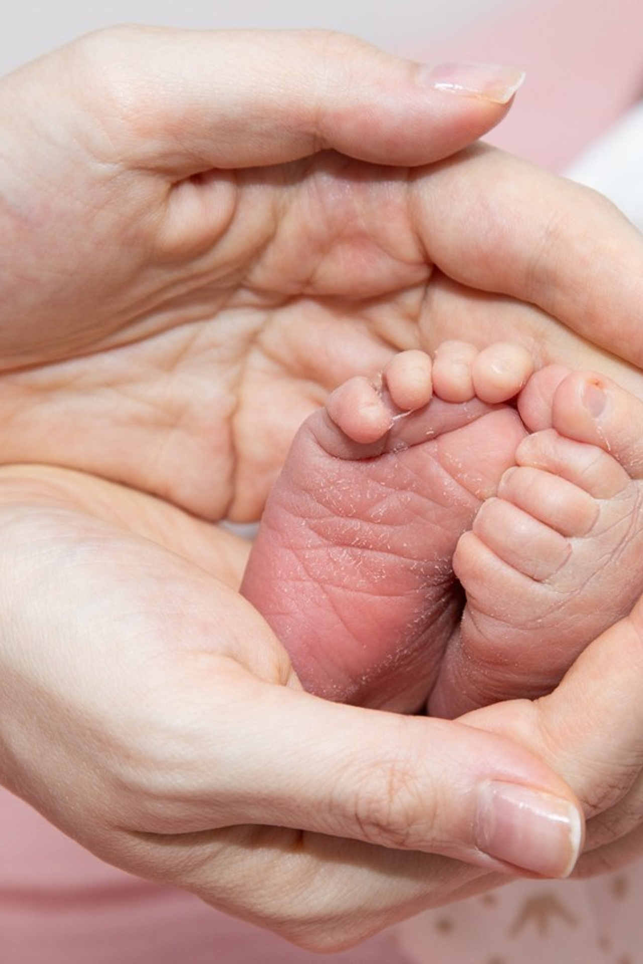 Отзывы. Семейный и детский фотограф в Ногинске