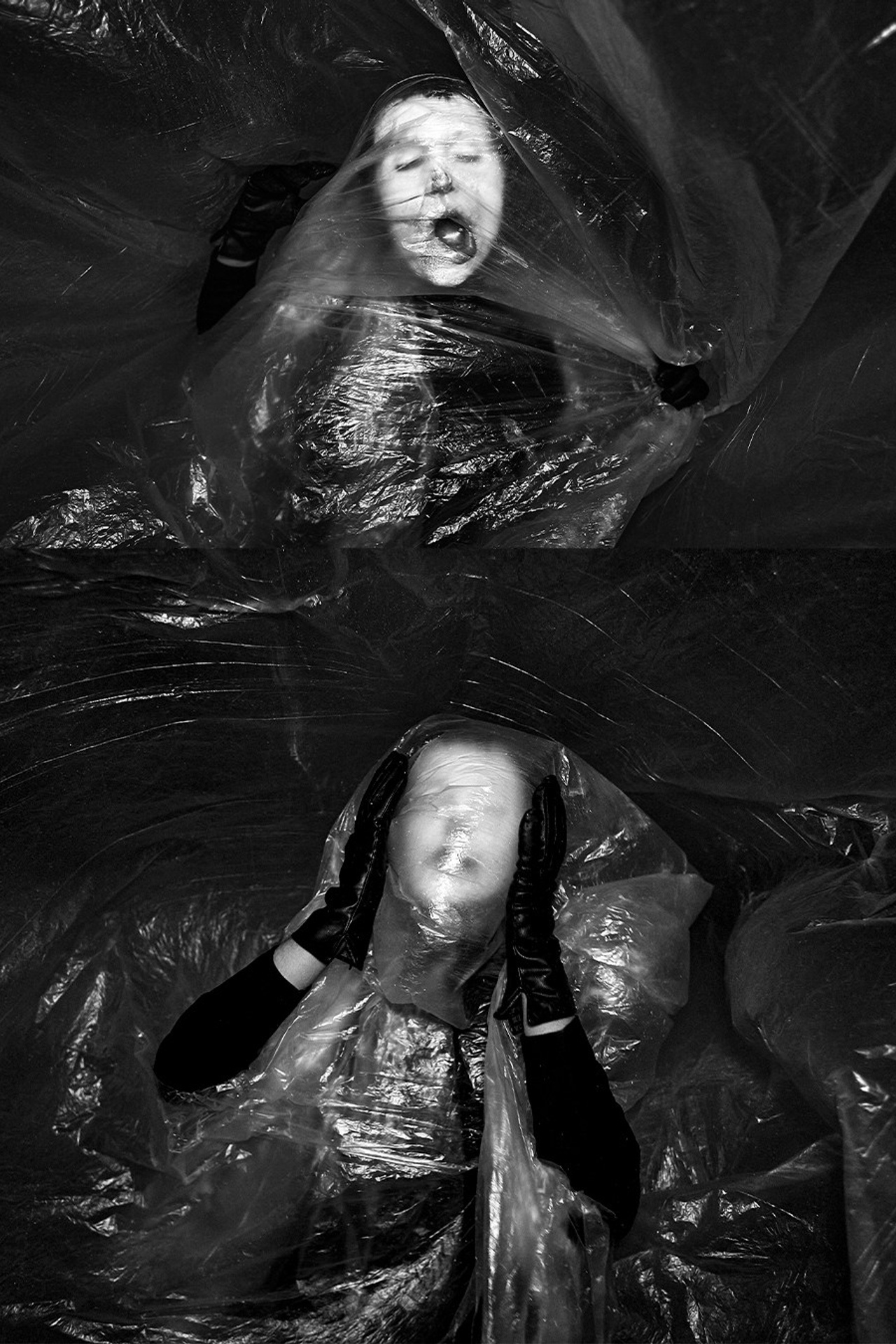 Cocoon. Act I–Inside