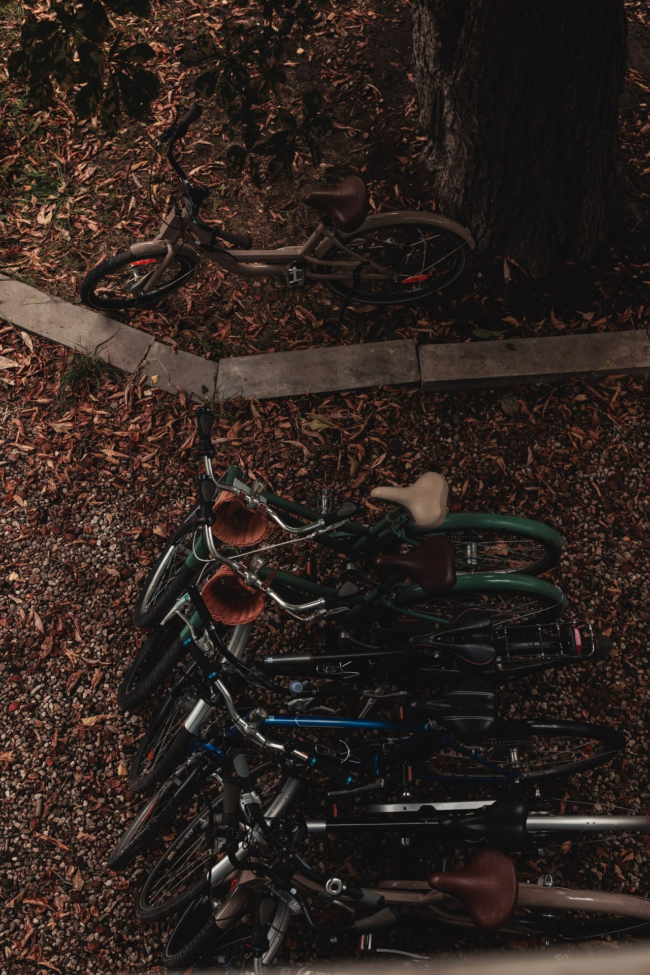 Отзывы. Фотографирую стиль