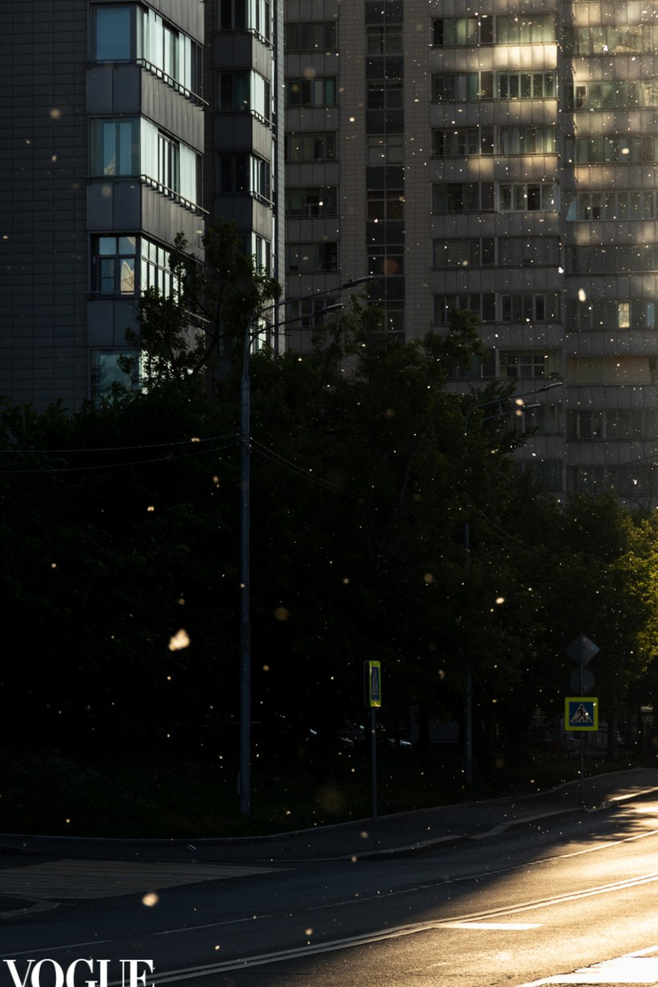 Vogue и другие