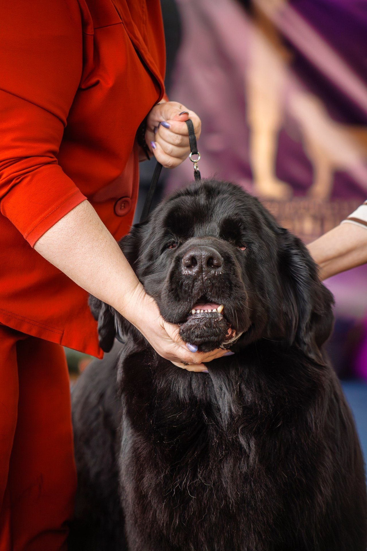 Отзывы. Воронина Наталия — индивидуальный и свадебный фотограф в Рязани