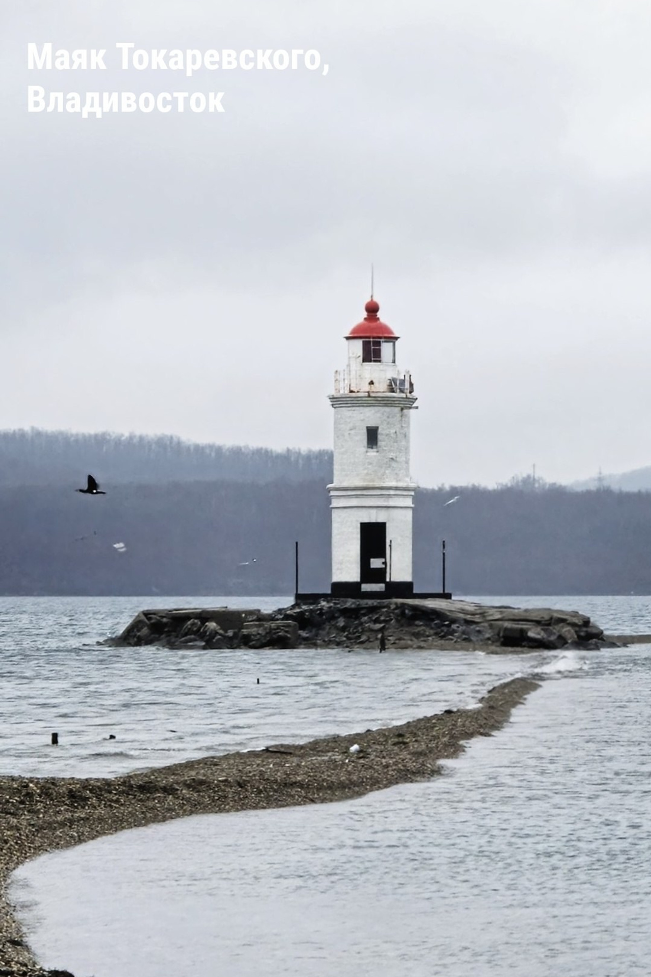 Мысли вслух из статьи про замечательного Тимофея Тихомирова. Репортажный фотограф. Из России с любовью