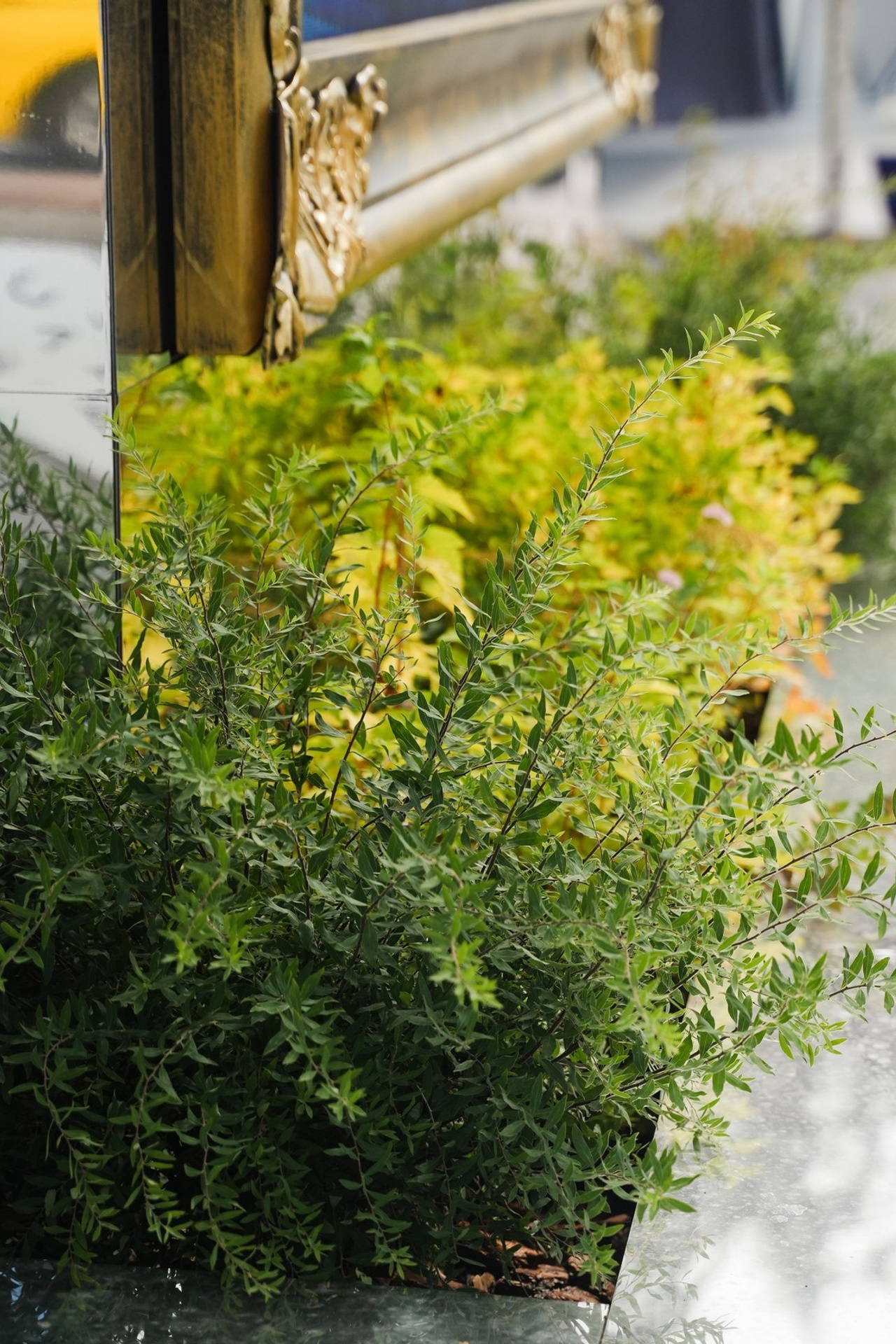 ВАШИ СЛОВА. Свадебный фотограф Москва Элиза Нестерович