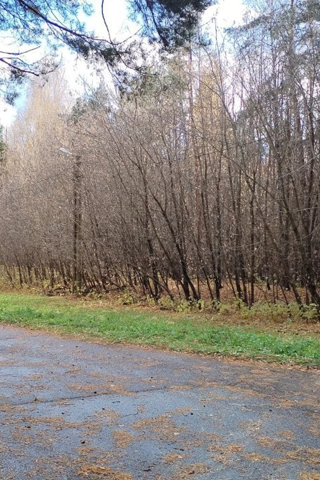 3D визуализация интерьеров и экстерьеров истории создания | Архитектурные рендеры студия. Студия интерьерной и экстерьерной визуализации в Санкт-Петербурге 3D-взгляд