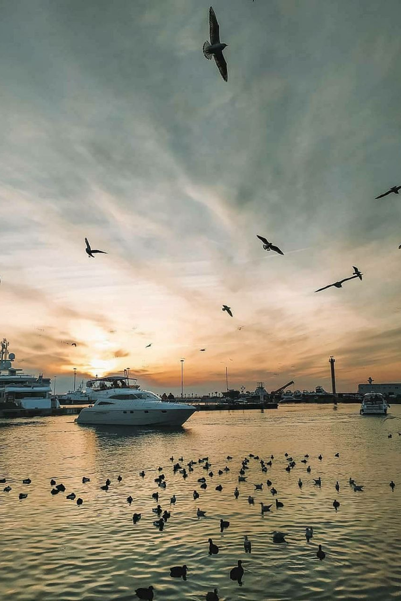 Блог. Живые снимки! Фотограф Даша Бендер