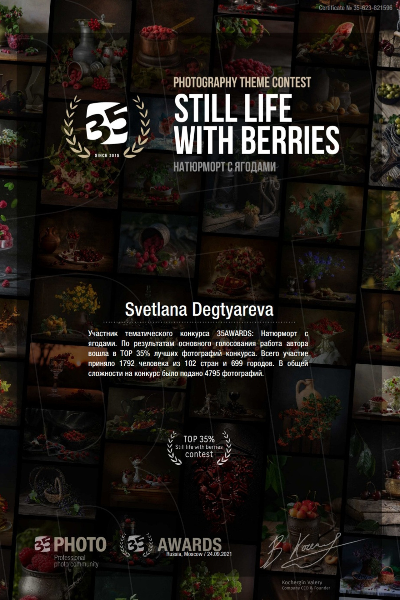 дипломы и выставки