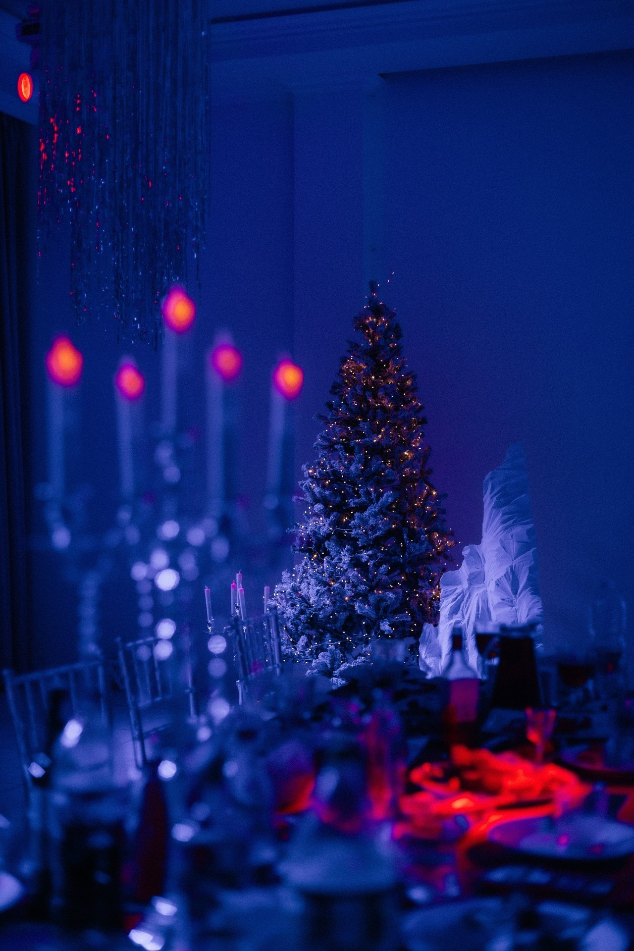 FEEDBACK. Свадебный фотограф и видеограф