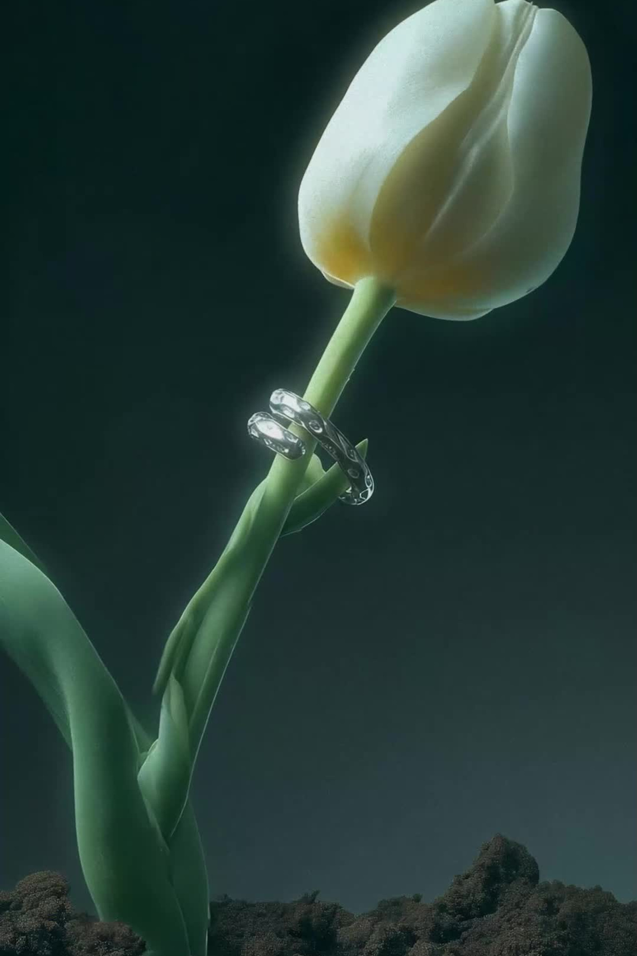 AI-видео. Ai-креатор для брендов alinasozdaet